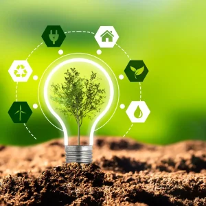 Der CO2 Fußabdruck – was steckt dahinter?